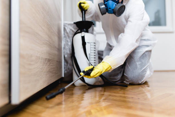 Best Bed Bug Extermination  in River Falls, WI