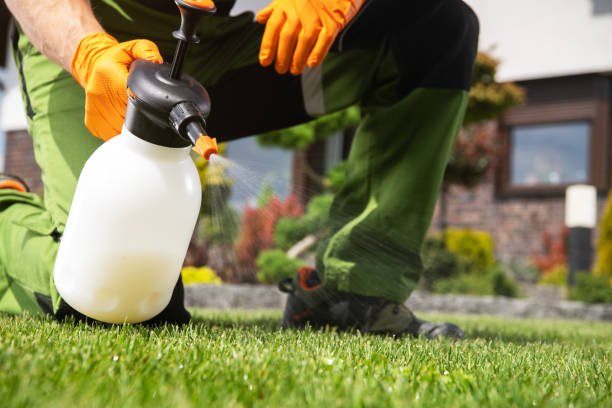 Best Ant Control Services  in River Falls, WI