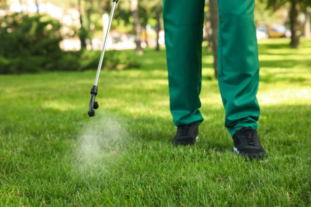 Professional Pest Control in River Falls, WI