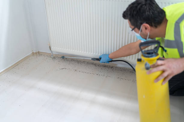 Best Emergency Pest Control  in River Falls, WI