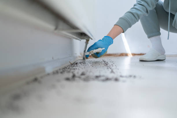 Best Commercial Pest Control Services  in River Falls, WI