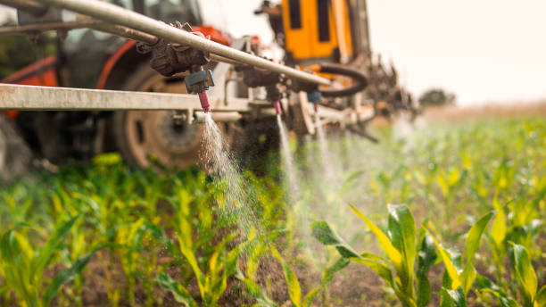 Best Best Pest Control Companies  in River Falls, WI